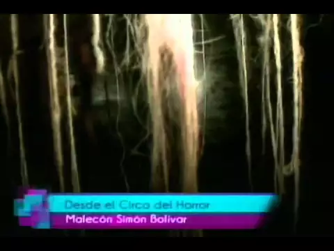 Desde el Circo del Horror Malecón Simón Bolívar