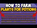 How To Farm Plants for Potions in Terraria 1 4 5 Plants for Potions Farm Terraria