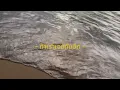 ถ้าเราเจอกันอีก (UNTIL THEN) Tilly Birds | พิม ฐิติยากร
