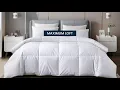 Serta 400TC Sateen Cotton European White Goose Down Comforter - All Seasons
