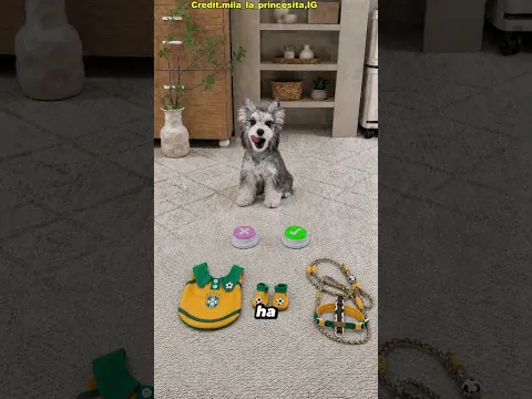 🐶⚽ Bu köpek Ronaldo'nun büyük bir hayranı! 😳❤️