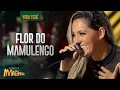 Yara Tchê - Flor do mamulengo | Acústico Imaginar