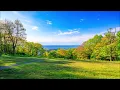 Summer Is Calling, Daddy's Groove & Bottai Feat. Mingue - Free (Extended Mix)