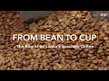 The Journey of Specialty Coffee - Full Documentary