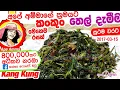 Download Lagu ✔ කංකුං තෙල් දැමීම Kankun thel dala | Kankun stir fry(water spinach) by Apé Amma