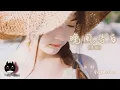小包Zerinn - 晚風告白 (男版)（原唱：星野）『我遇見很多人卻只想和你慢慢周旋。』【動態歌詞 | Pinyin Lyrics】【三月新歌】【PENGUIN MUSIC】