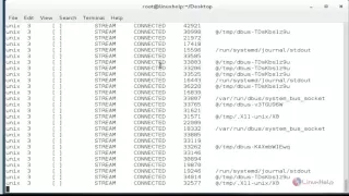 How to use netstat command for managing LINUX networks