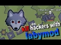 moomoo io kill hackers with Labymod FirE WorK s Old