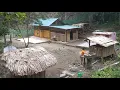 Lagu Full video : 118 Days from the city develops farm in the forest make houses for birds and chickens