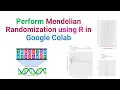Perform Mendelian Randomization in R Step-by-Step Tutorial Using Google Colab