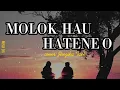 Download Lagu molok Hau hatene o ( cover: Jhezika Taek)