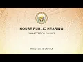 FIN Public Hearing - Thu Mar 28 2024 2 00 PM HST