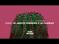 Milo j, Soledad - Lucia (Letra/Lyrics)