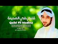 Download Lagu Qalbi fil Medina Original By Mohamed Habib | Official Lyrics Video