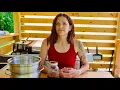 Download Lagu DIY Dandelion Salve: Natural Medicine From Your Backyard