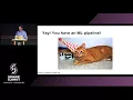 Extending Apache Spark ML Adding Your Own Algorithms and Tools - Holden Karau and Nick Pentreath