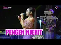 Download Lagu PENGEN NJERIT ~ TENGDUNG // CITRA NADA LIVE DUKUH SAWAHREJO SELATAN - TEGALSARI TIMUR // PEMALANG