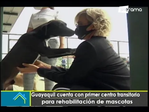 Guayaquil cuenta con primer centro transitorio para rehabilitación de mascotas