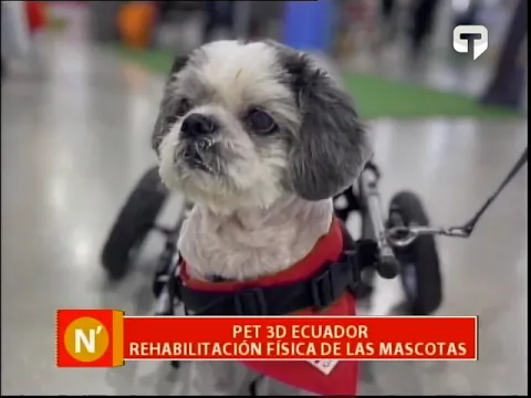 Pet 3D Ecuador rehabilitación de las mascotas