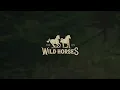 Sioux Falls (Lyric Video) - WILD HORSES