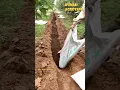 Download Lagu Begini Cara Memberi Pupuk Organik di Perkebunan Buah
