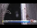 Nash County sheriff talks about capture of final jail escapee