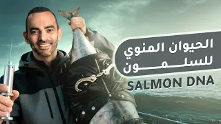 ماذا يفعل الحيوان المنوي للسلمون في بشرتنا؟ | PDRN