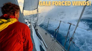 Survival Mode at Sea + Monster Fish Caught | Day 2-3