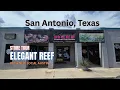 Elegant Reef Tropical Fish Studio Store Tour
