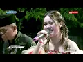 Download Lagu ELSA SAFITRI PANTUN JANDA
