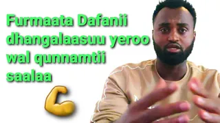 Dafanii Xumuruu Wal Qunnamtii Saalaa Akkamitti Hir Isna 