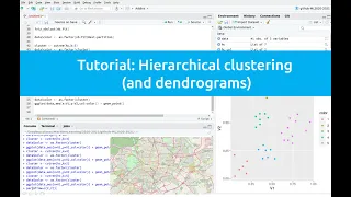 Tutorial: Hierarchical clustering in R