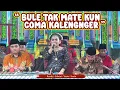 Download Lagu BULE TAK MATE KUN COMA KALENGNGER | SULAINI - RASUKI - YANTO - SANTO | PUTRA FAMILI 2025