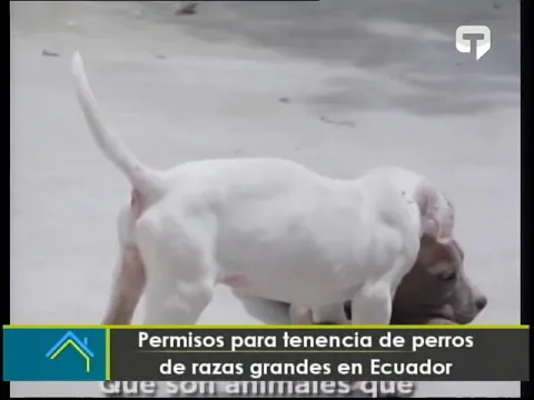 Menor muere tras ser atacado por un perro en Quito