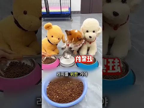 작은 조각들!