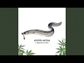 Download Lagu magische plant