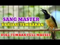 Download Lagu Masteran handal cucak cungkok variasi tembakan full mbeset