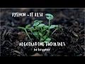 Python IF ELSE Python Basics For Algorithmic Trading