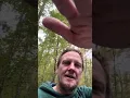 Download Lagu And What if After So Many Words Cesar Vallejo. Art of Storytelling. Interjections. #poetry #hiking