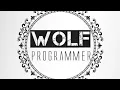 C Programming - Count total number of vowels and consonants in a string