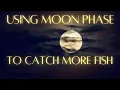 Using moon phase to catch more fish Understand moon phases
