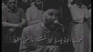 الشيخ حسن صالح ويوم يعض الظالم علي يديه 