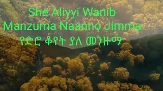 She Aliyyi Wanib Manzuma Naannoo Jimma የድሮ መንዙማ Best Jimma Manzuma And Neshida 