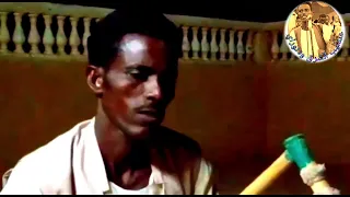 Tigre Music Ibrahim Noray 2022 ابراهيم نوراي ميل وردا ديبو 