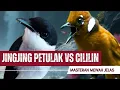 Download Lagu JINGJING PETULAK GACOR VS CILILIN LONG CLEAR || CLEAR AUDIO MASTERING GEMAKKELIJK TE BETREDEN