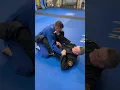 Download Lagu Easy BJJ Omoplata setup