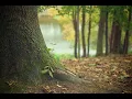 Download Lagu Recitation of Surah Al-Anfal By Sheikh Saud Al-Shuraim