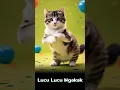 Lagu Kucing Menari Baby Shark #cat #babyshark #catdance #kucing