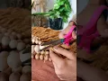 Making of Macrame Lampshade Find us on Instagram Thebohobunaai