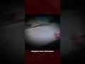 McDonald s Conspiracy Theory Explained very disturbing